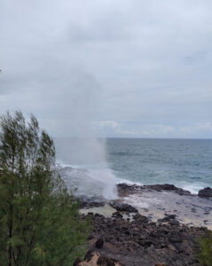 Spouting Horn Park