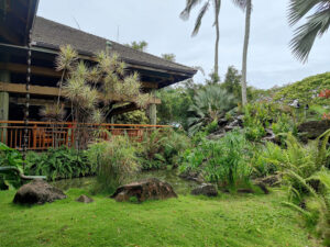 Mittagessen Keoki´s Paradise