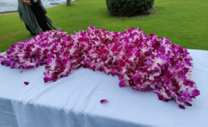 Leis