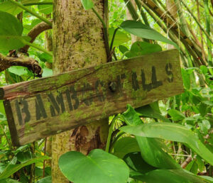 Bamboo Falls