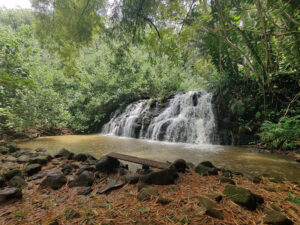 Bamboo Falls