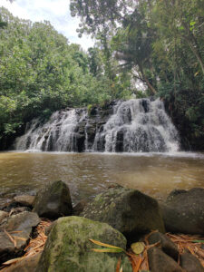 Bamboo Falls