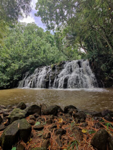 Bamboo Falls