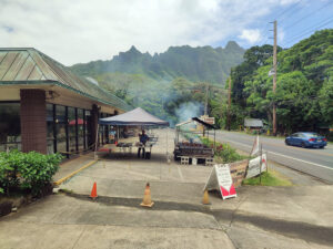 Yummy Huli Huli Chicken