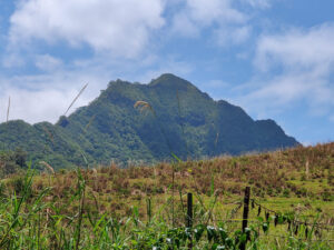 Blick zur Kualoa Ranch