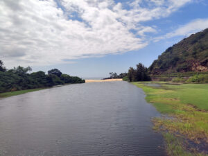 Waimea River