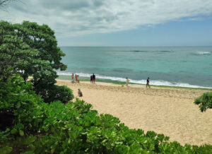 North Shore