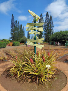 Dole Plantation