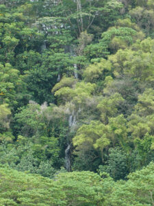 Wasserfall in der Ferne