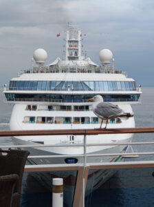Norwegian Dawn
