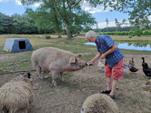 Cola trinkendes Schwein