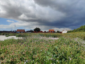 Snogebæk