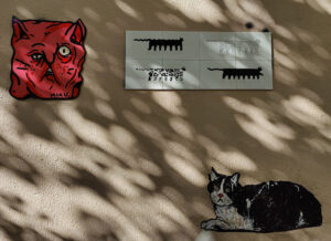 noch mehr Katzen