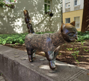 Katze mit dem Männergesicht