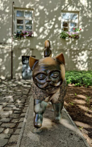 Katze mit dem Männergesicht
