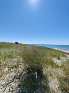 Aussicht von der Düne