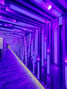Prima Theater & Club