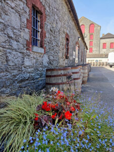 Midleton Distillery / Jameson