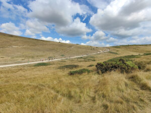 Durdle Door