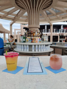 Dragon Water und Watermelon Mint Cooler