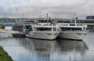 Edelweiss und Thurgau Prestige