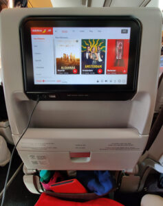 In-Flight Entertainment