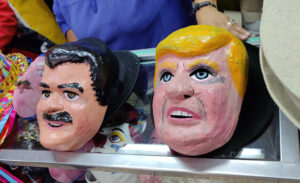 Bolsonaro und Trump