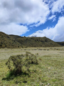 Cotopaxi