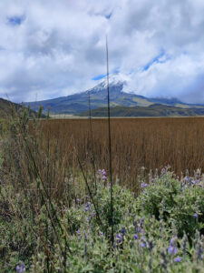 Wanderung um die Lagune Limpiopungo