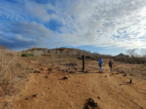 Wanderung am Cerro Dragon