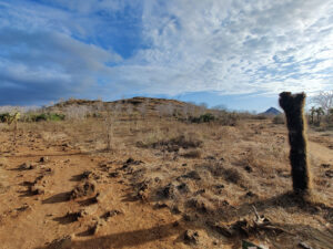 Wanderung am Cerro Dragon