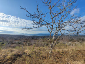 Aussicht vom Cerro Dragon