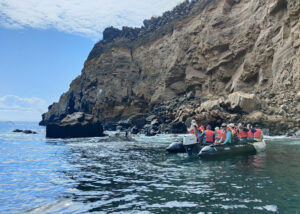 Galapagos Pinguin