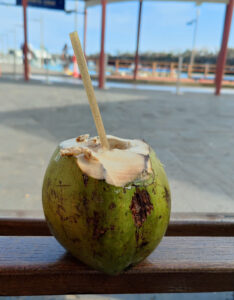 Kokosnuss