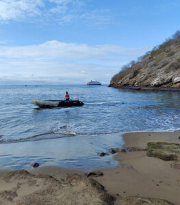 Punta Cormorant