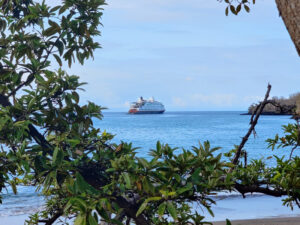 Santa Cruz II / Punta Cormorant