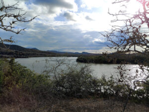 Brackwassersee