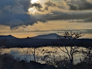 Abendstimmung am Brackwassersee