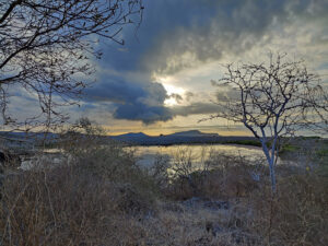Abendstimmung am Brackwassersee