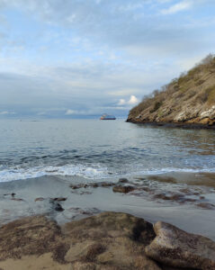 Punta Cormorant