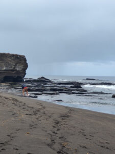 Strand von Puerto Egas