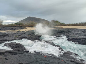 Blowhole