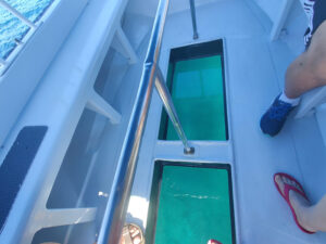 Glasbodenboot