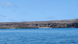 Darwin Bay