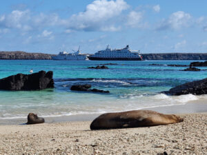 Darwin Bay