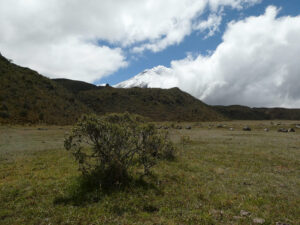 Cotopaxi