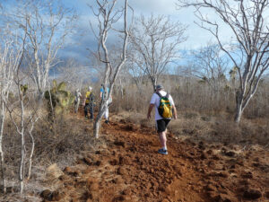Wanderung am Cerro Dragon