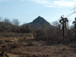 Wanderung am Cerro Dragon