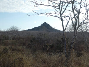 Wanderung am Cerro Dragon