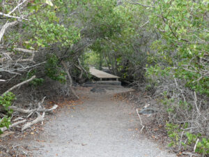 Mangrovenweg